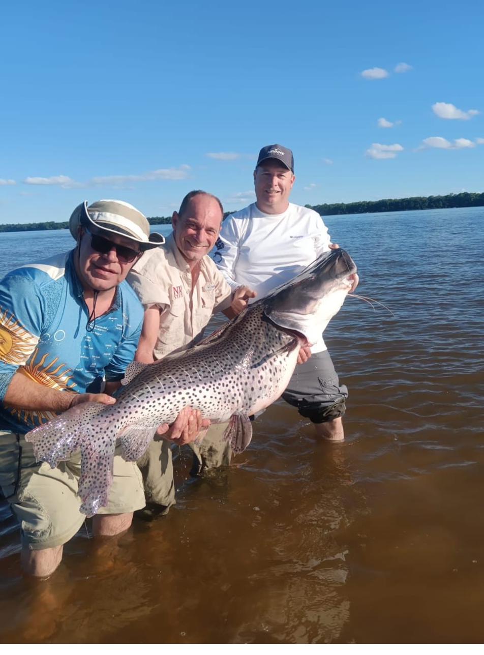 Pesca, Dourado, Argentina