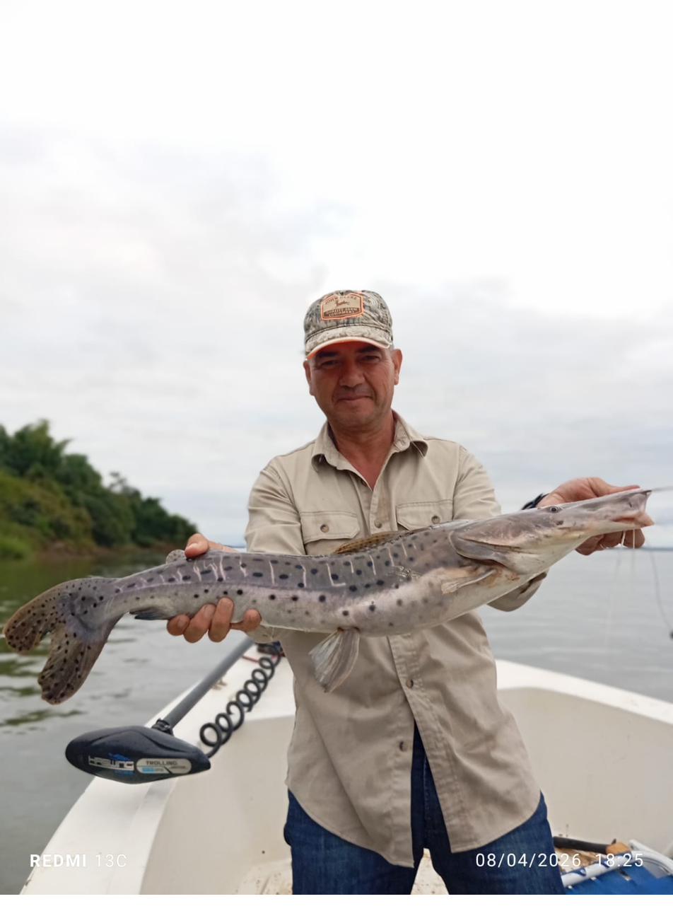 Pesca, Rio Paraná, Argentina
