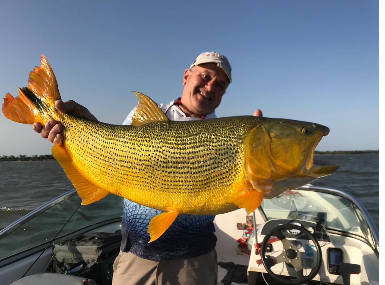 Pesca, Dourado, Argentina